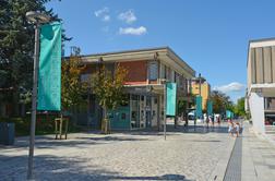 25-letni Italijan napadel mladoletni dekleti, posredoval je mimoidoči