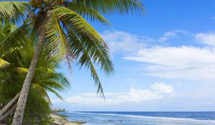 Čudežna zgodba rajske otoške države, selektor se počuti kot v pravljici