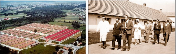 Nova farma Ihan 1979 – 1980 (levo) in Maršal Tito prvič v Ihanu, 1962 (desno).  | Foto: 