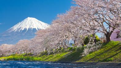 V mestu na Japonskem bodo zaradi turistov zastrli pogled na goro Fuji