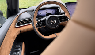 Slovenci že podpisujejo pogodbe: navdušenje za volanom te novosti #foto