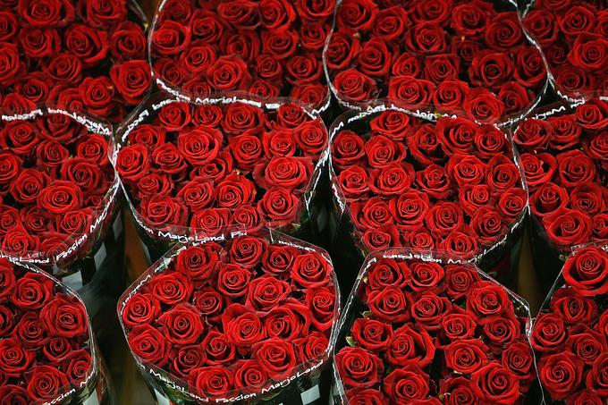 Vrtnice so pri nas še vedno zelo priljubljeno darilo za valentinovo. | Foto: Getty Images