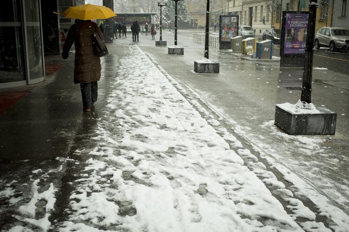 Sneženje v Ljubljani | Foto Ana Kovač