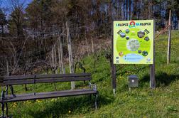 Skriti kotiček Slovenije vabi na pohod S klopce na klopco #video