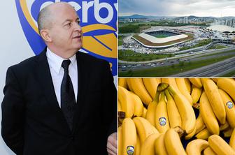 Rastoder bo prevzel trgovski del Stožic