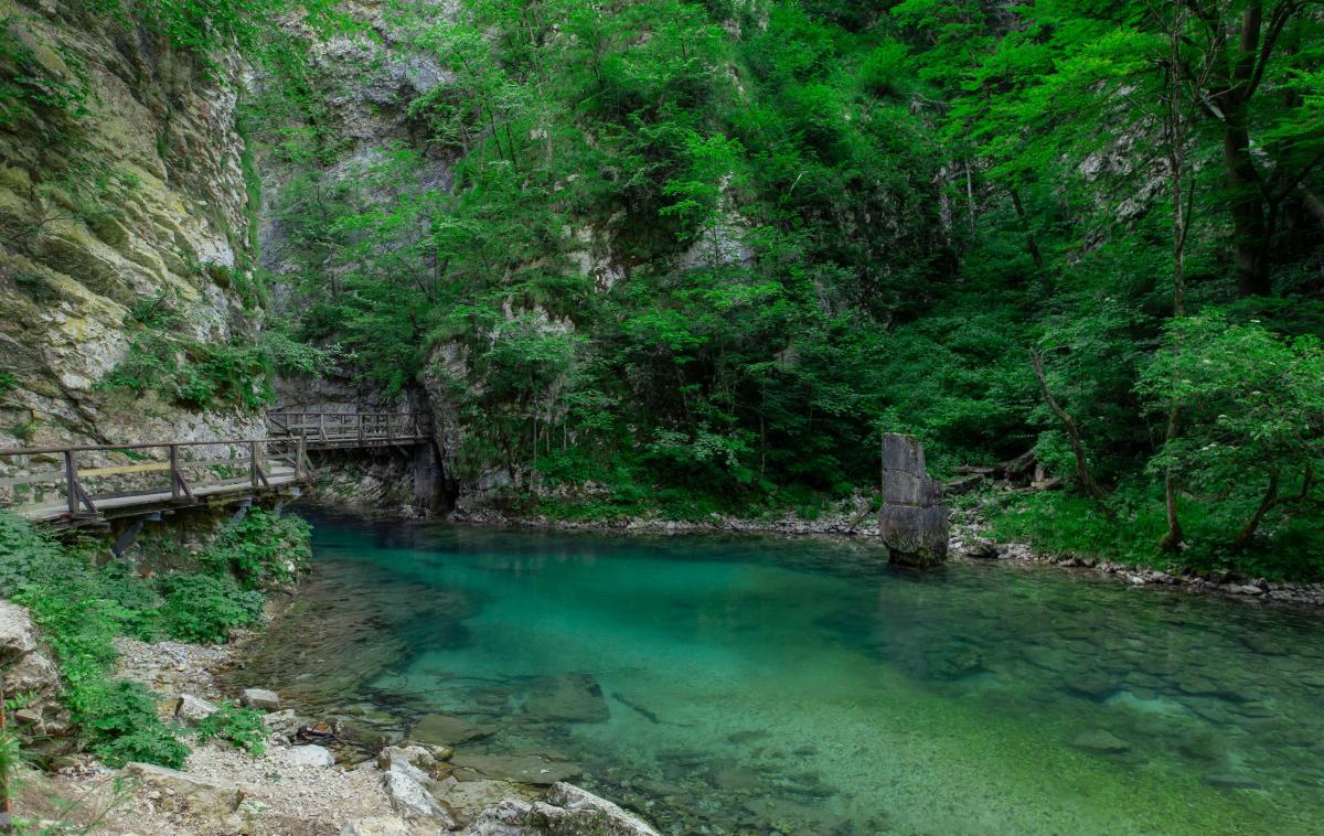 blejski vintgar | V soteski Vintgar trenutno potekajo sanacijska dela. | Foto Shutterstock