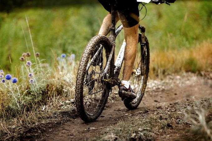 kolesarjenje, narava, rekreacija, gorsko kolesarstvo | Foto: Getty Images