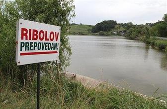 V letu 2010 krepko zmanjšanje vzreje rib in školjk