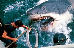 Je Žrelo grozljivka ali ne? To pravi Spielberg.