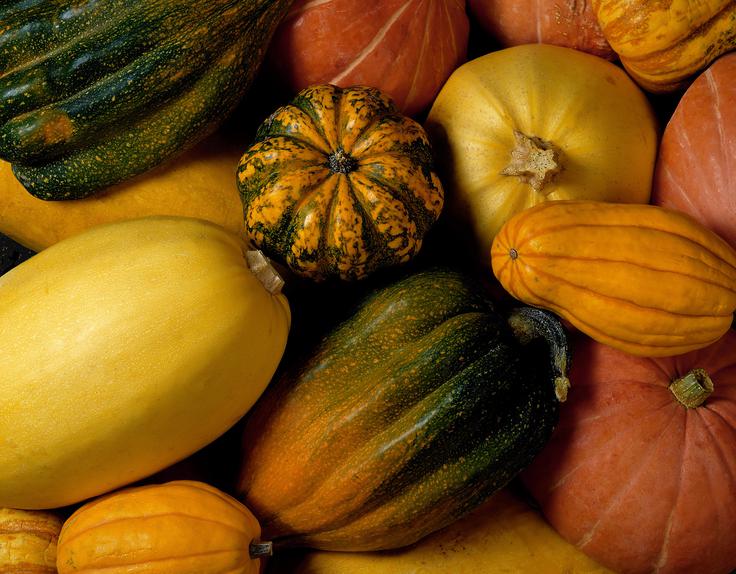 buče | Foto: Thinkstock