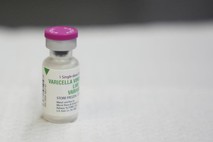 cepivo, norice | Foto: Guliverimage