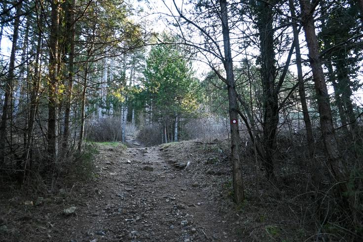 Malo bolj strm je samo začetek vzpona. | Foto: Matej Podgoršek