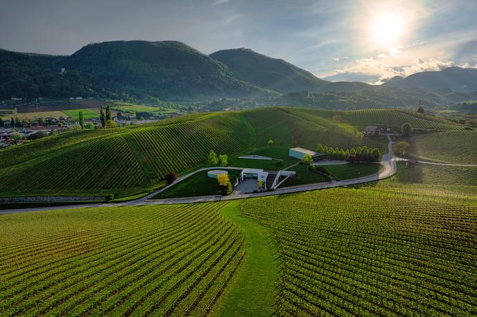 Zlati grič, pomlad | Foto Zlati grič