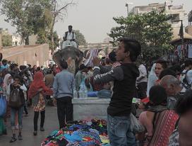 Indija zmajarji Ahmedabad festival človeška ribica proteus