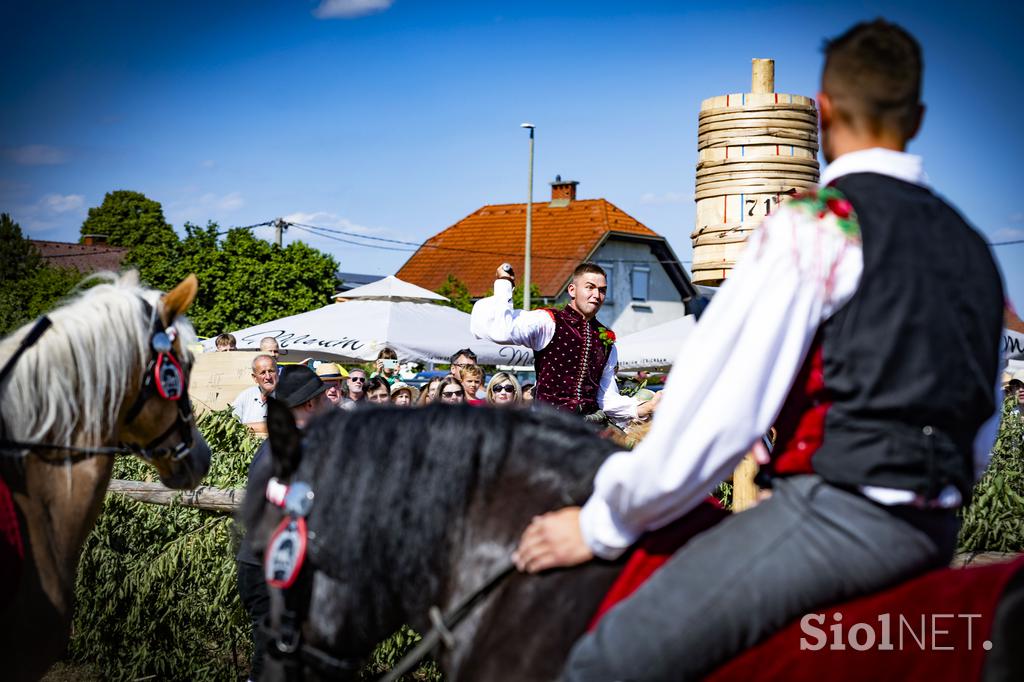 Posavsko štehvanje