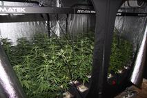 droge, zaseg, Trzin, sadike, pripomočki