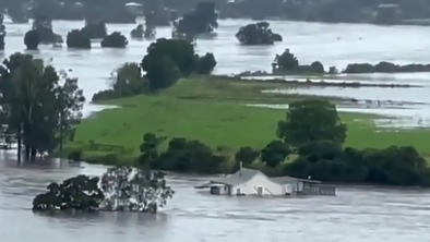 Narasle vode mlademu paru na poročni dan odnesle hišo #video