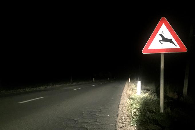 Prometni znak, ki opozarja na nevarnost divjadi na cesti, je postavljen ob naravne živalske selitvene poti. | Foto: Gregor Pavšič