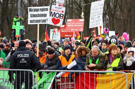 Protest kmetov v Berlinu