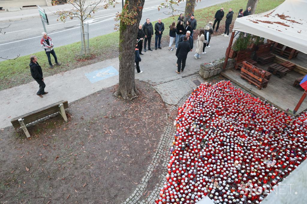 Protestni shod Novo mesto