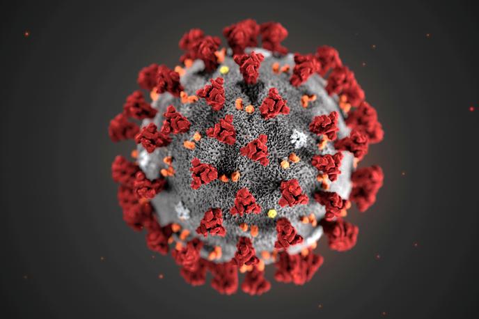 Koronavirus | Mešanica dveh protiteles blokira protein, s katerim koronavirus napada celice v človeškem telesu. | Foto Reuters