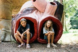 mcdonalds jure marolt dino park