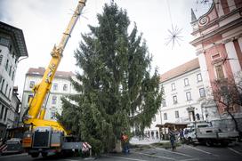 Novoletna smreka v Ljubljani Prešernov trg