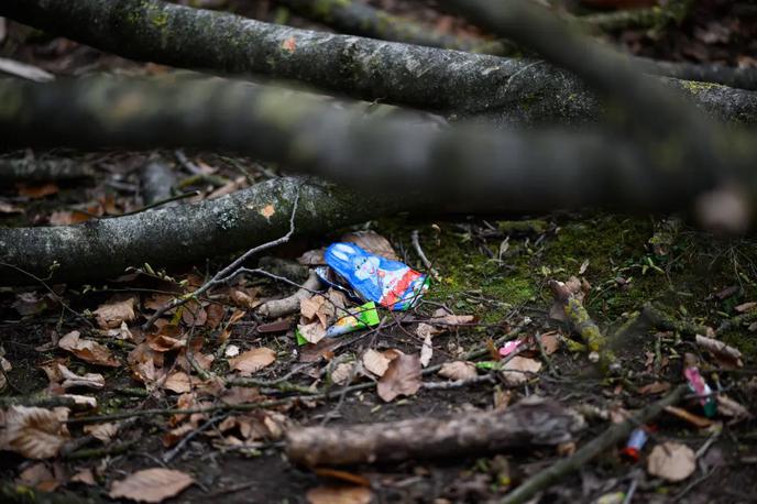 Tragedija Nemčija | Očividci so videli pisana velikonočna jajca, raztresena po gozdnih tleh. | Foto X/@AbbyLynn0715