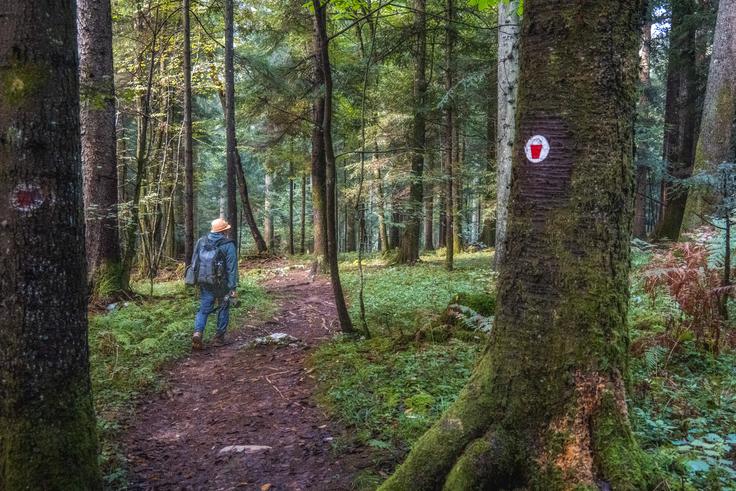 Cvinger, Dolenjska | Foto: Joško Šimic