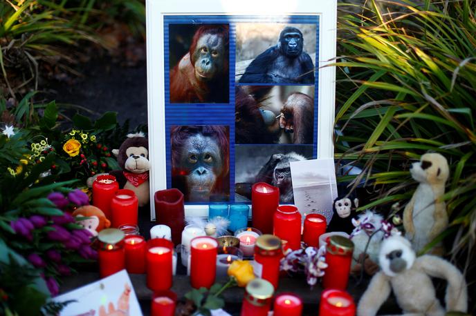 Živalski vrt v Krefeldu | Obiskovalci so ob vhodu v živalski vrt prižigali sveče v spomin na poginule živali. | Foto Reuters
