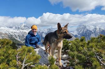 Neverjetno popotovanje psičke slovenske skakalke. S srečnim koncem.