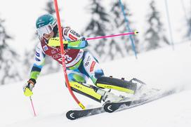 Zlata lisica, slalom