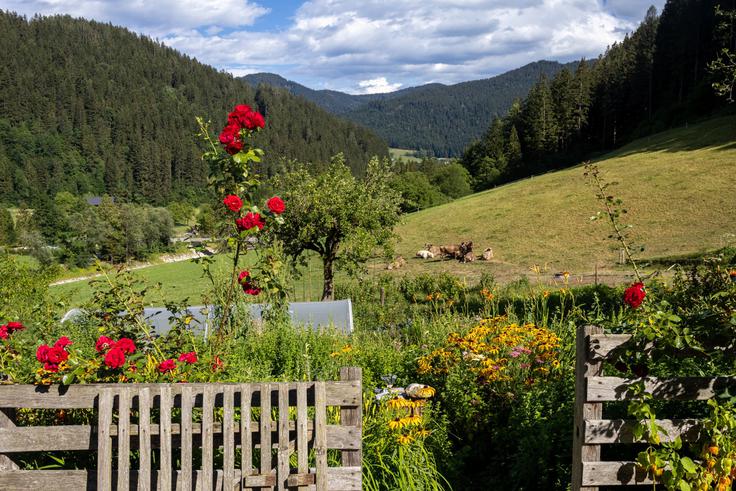 Turistična kmetija Stoglej | Foto: Matej Podgoršek