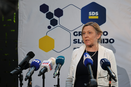 Referendum, sedež stranke SDS.