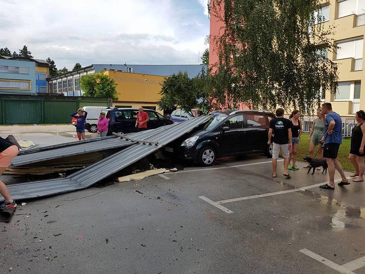 vreme, neurje, ptuj, drevesa | Foto: Alen Iljevec