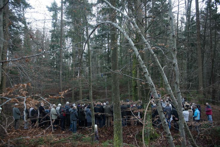 "Ti dogodki so tako pomembni, da je tudi mednarodna javnost zainteresirana, da se razrešijo," pravi Pintar. | Foto: 