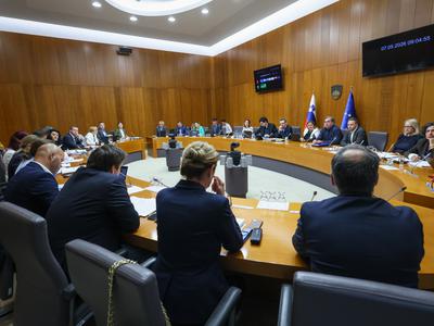 Odbor DZ potrdil predlog za izvedbo referenduma o interventnem zakonu 6. decembra