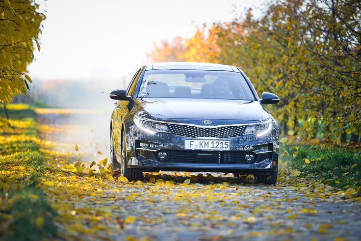 kia optima - domača predstavitev nove generacije | Foto: 