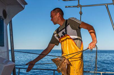 Ekskluzivna izkušnja v Istri