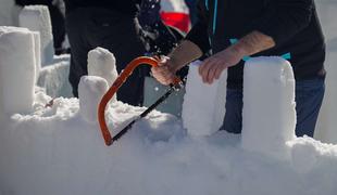 V Črni na Koroškem množično gradili snežne skulpture #video