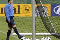 Hiddink stavi na napad, Švedi brez Ibrahimovića?