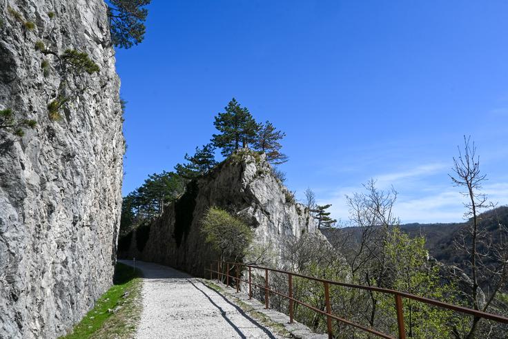 Po zares slikoviti kolesarsko-sprehajalni poti, nekdanji železniški progi, se vrnemo na izhodišče. | Foto: Matej Podgoršek
