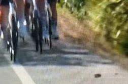 Pogačarja očitno spodnesel kamen na cesti #video