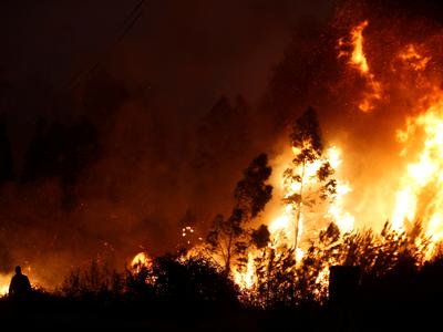 Prijeli 49-letnika, osumljenega več požarov na Goriškem