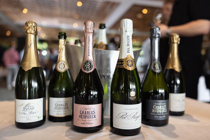 eVino Portfolio 2026 | Foto: Žiga Intihar / EVINO