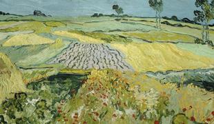 Aplikacija razkriva Van Goghove skrivnosti