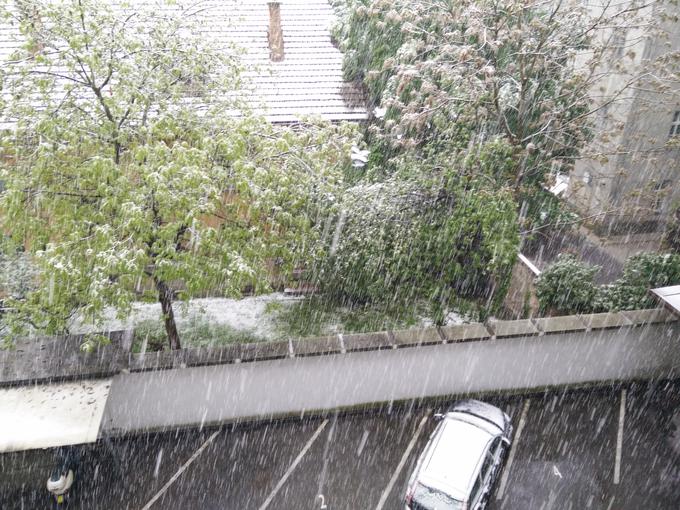 Takšen je snežni razgled iz našega uredništva v Ljubljani. | Foto: 