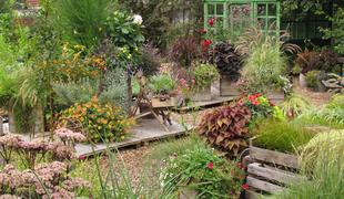 Vrtnarska hiša – oaza za ljubiteljske vrtnarje in zbiratelje