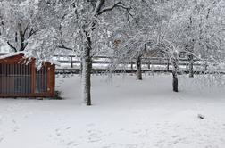 Snežna idila po Sloveniji. Lahko pričakujemo še kakšno pošiljko snega?  #video #foto