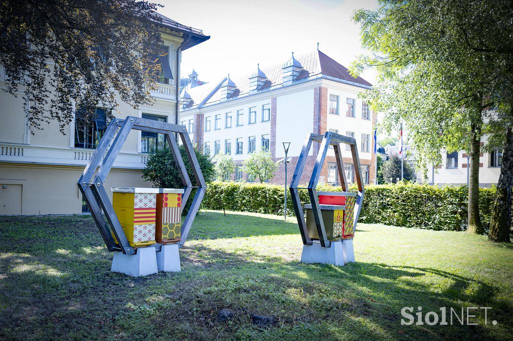 Urbani čebelar Ljubljana